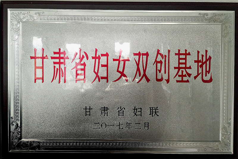 2017年2月甘肃省妇联甘肃省妇女双创基地